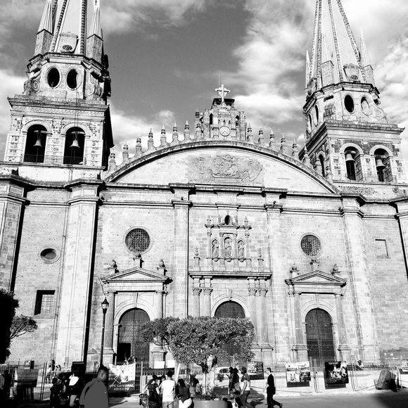 Meet your Posher, Ani - Picture 1 of 1